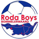 Roda Boys